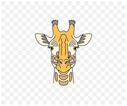 Giraffe head, animals and african savannah, colored graphic design. Nature, wildlife, safari, zoo, wilderness and fauna, vector design and illustration
