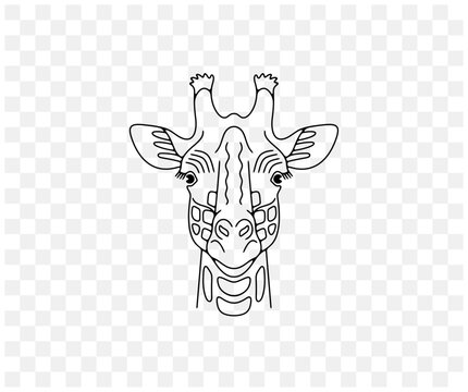 Giraffe head, animals and african savannah, linear graphic design. Nature, wildlife, safari, zoo, wilderness and fauna, vector design and illustration