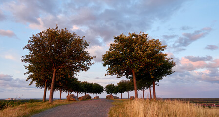 Obraz premium Ein Blick von Hannover Kronsberg