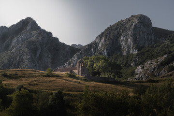 Monta&ntilde;a leonesa 