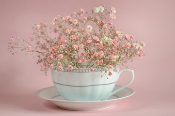 Bouquet of delicate small gypsophila flowers on a pink background. Selective soft focus in natural light. Greeting card for wedding, birthday, women's day