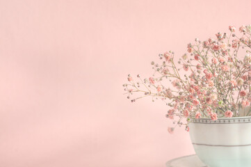 Bouquet of delicate small gypsophila flowers on a pink background. with copy space. Selective soft focus in natural light. Greeting card for wedding, birthday, women's day