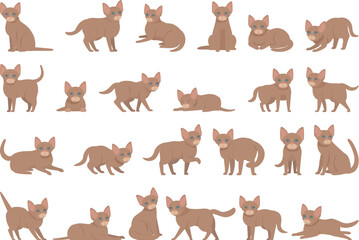 NAME icons set cartoon vector.