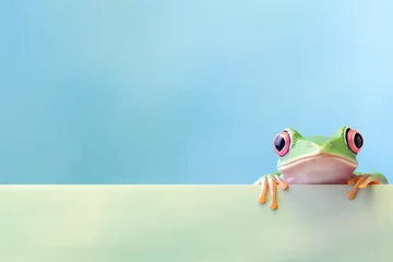 Foto op Canvas Greeting card, frog peeking, pastel background, copy space © Guido Amrein
