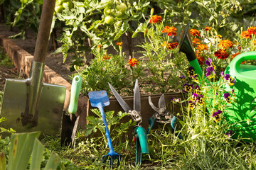 Gardening and farming tools outdoors. Garden tools assortment in garden with flowers in sunlight in nature