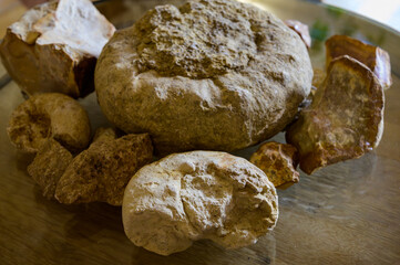 Wine tour in cellars of domain in Pouilly-Fume appellation, examples of soils of vineyards of Pouilly-Fume appellation, flint pebbles, caillottes limestone fossils, near Pouilly-sur-Loire, France