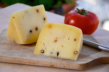 Cheese collection, Italian aged pecorino cheese with black peppers made in region Nebrodi, Sicily, Italy, close up