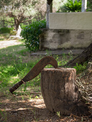 Vertical shot of a Sardinian axe on a tree stump in a countryside garden.