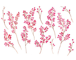 水彩画。水彩タッチの秋の木の実ベクター背景イラスト。秋の植物水彩イラスト。Watercolor. Autumn nuts vector background illustration with watercolor touch. Autumn plants watercolor illustration.