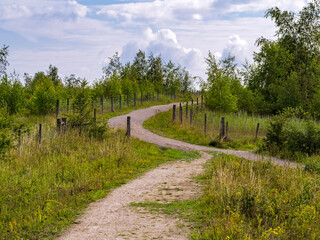 Walking trail in Fairburn Ings Nature Reserve, West Yorkshire, England