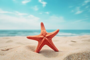 Fototapeta na wymiar starfish on the sand beach