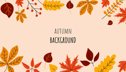 Vector Autumn Banner. Beautiful fall background with different leaves. Leaves decoration banner. Autumn foliage decor. October, september, november season poster.
