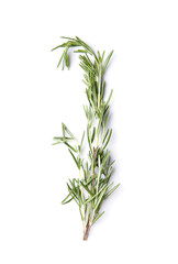 Sprig of fresh rosemary isolated on white background