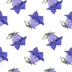Obraz na płótnie Canvas Seamless pattern with bluebell, spreading bellflower flowers (Campanula patula, little bell, rapunzel, harebell). Watercolor hand painting illustration on isolate white background