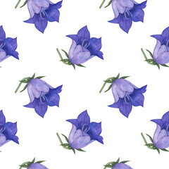 Seamless pattern with bluebell, spreading bellflower flowers (Campanula patula, little bell, rapunzel, harebell). Watercolor hand painting illustration on isolate white background