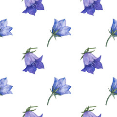 Obraz na płótnie Canvas Seamless pattern with bluebell, spreading bellflower flowers (Campanula patula, little bell, rapunzel, harebell). Watercolor hand painting illustration on isolate white background