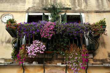Fototapeta na wymiar Balcony with flowers in Venice, Italy