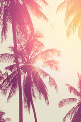 Fototapeta na wymiar Tropical palm coconut trees on sunset sky flare.