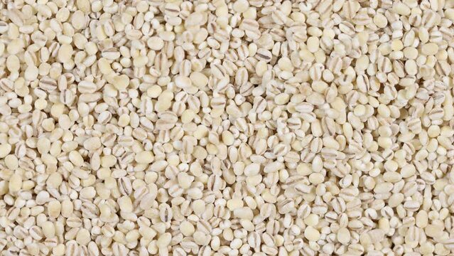 Close up uncooked dehydrated barley pearls clockwise spinning