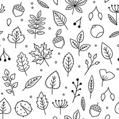 Seamless pattern of Autumn leaves and berries doodle set. Hello Autumn elements: leaves, herbs, chestnut, acorn in sketch style. Hand drawn vector illustration
