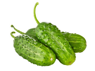 Fresh cucumbers. Green ripe cucumber vegetables. Organic food. Isolated on white background. PNG