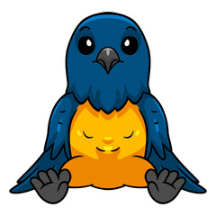 Cute thraupidae black and gold tanager bird cartoon