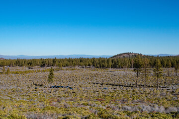 High Desert Forest and Hills of Bend, OR