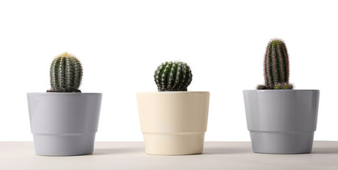 Different cacti in pots on beige table