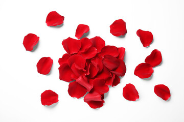 Beautiful red rose petals on white background, top view - obrazy, fototapety, plakaty