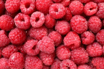 Heap of tasty ripe raspberries as background, top view