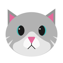 Cat face Illustration Vector