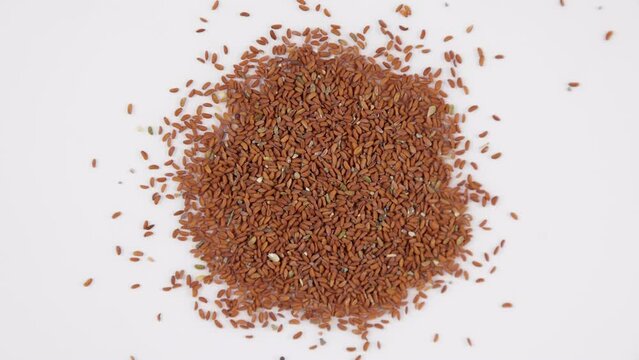  Brown and green dried cress seeds spinning clockwise - shallow depth of field