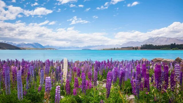 New Zealand Mountain Lake Landscape Time Lapse.