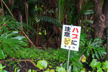 ハブ注意の看板　沖縄