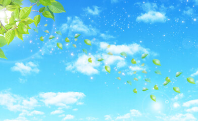 Fototapeta na wymiar 新緑の木洩れ日　青空とキラキラ光