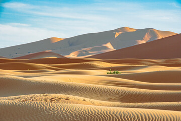 sand dunes in the desert