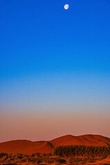 sunset in the desert