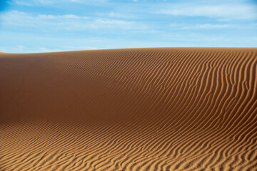 Naklejka premium sand dunes in the desert