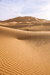 sand dunes in the desert