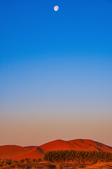 Obraz premium sunset in the desert