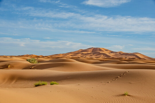 sand dunes in park © worm_ flag