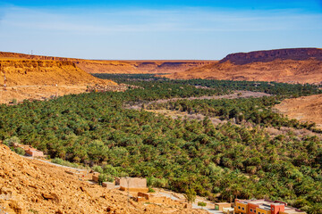Fototapeta premium grand canyon state country