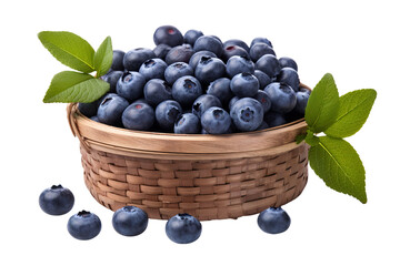 A realistic portrait of Blueberry in a basket, isolated PNG