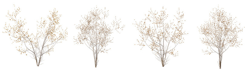 Set of dead plant and dry tree with isolated on transparent background. PNG file, 3D rendering illustration, Clip art and cut out