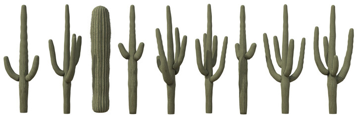 Set of Saguaro cactus or Carnegiea gigantea cactus with isolated on transparent background. PNG file, 3D rendering, Clip art and cut out