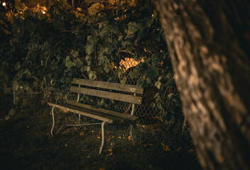 Photo shows a park bench surrounded by trees and bushes on a dark night. The bench is empty and...