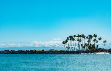 Lava Flow of 1801 . Kekaha Kai (Kona Coast) State Park. Mahaiula Beach, Big Island Hawaii. plam trees by the sea