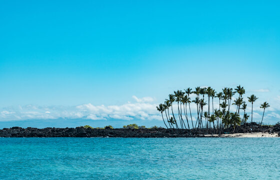 Lava Flow of 1801 . Kekaha Kai (Kona Coast) State Park. Mahaiula Beach, Big Island Hawaii. plam trees by the sea