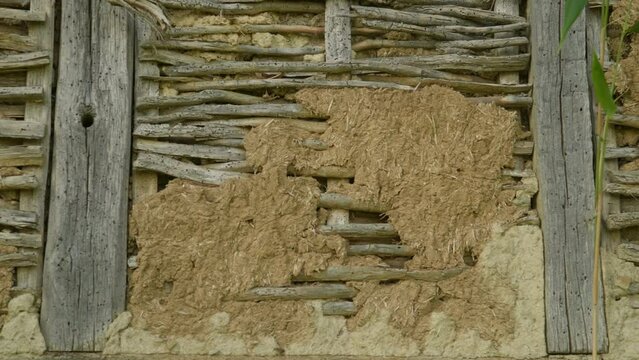 Old timber framed house wall of mud and sticks wattle and daub architecture