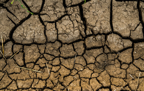Arid land and drought. Concept photo with the texture of a dry agriculture land field during a summer without rain. Global warming, environment danger.